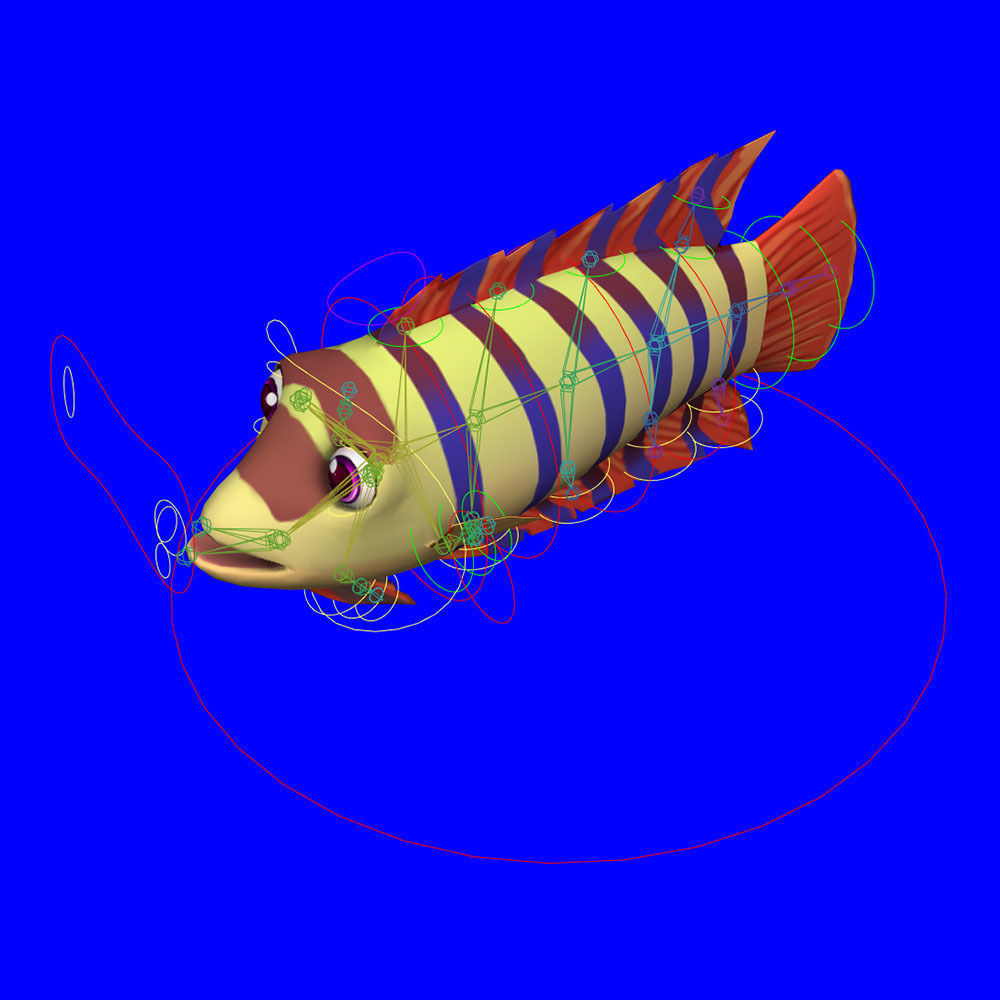 Ornate Climbing Perch Fish Animated Low-poly 3D model_6