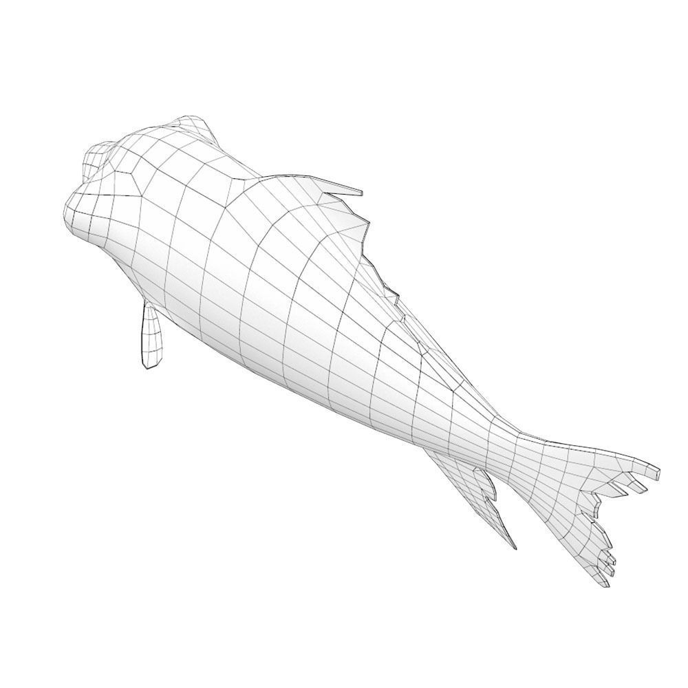 Giant Carp Fish Cartoon Animated Low-poly 3D model_5