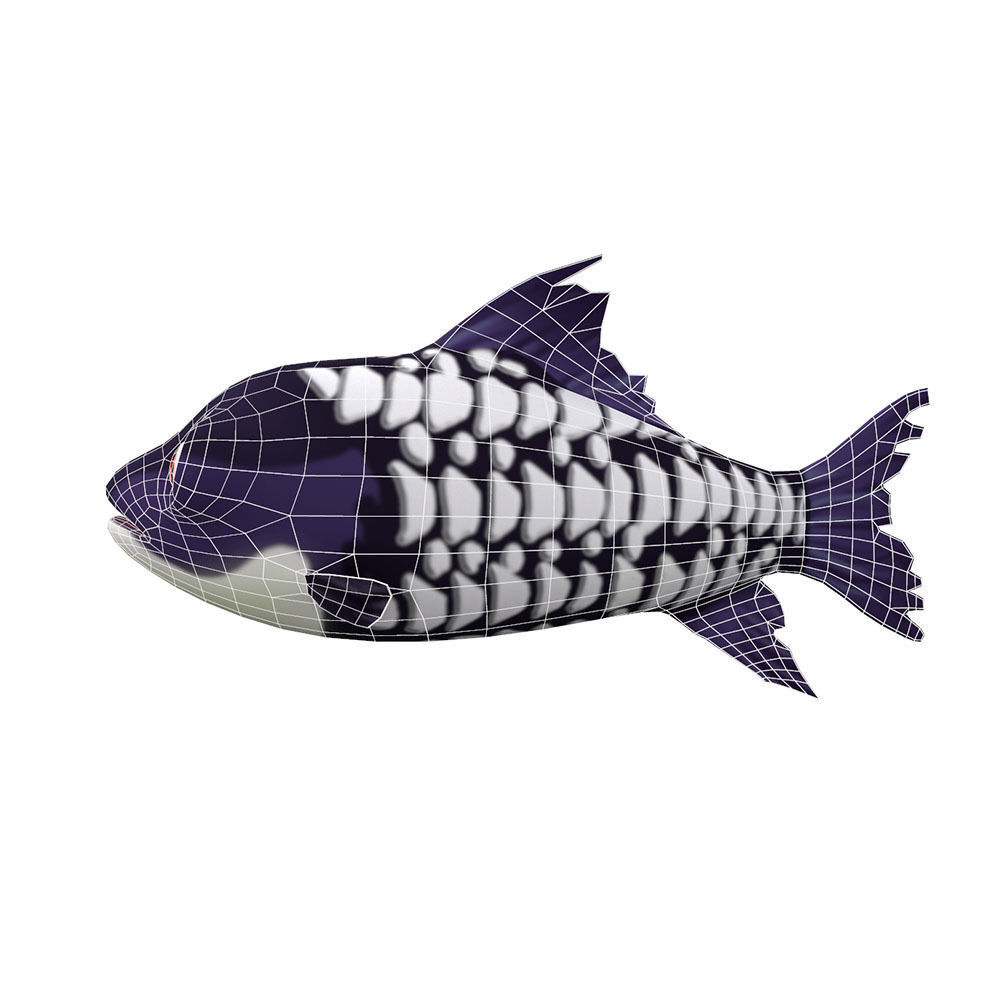 Giant Carp Fish Cartoon Animated Low-poly 3D model_3