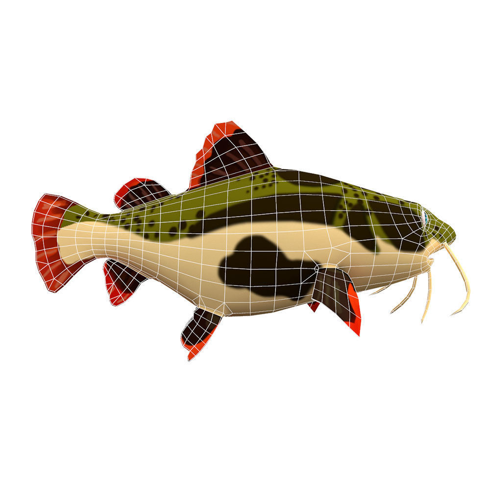 Red Tail Cat Fish Cartoon Animated Low-poly 3D model_3