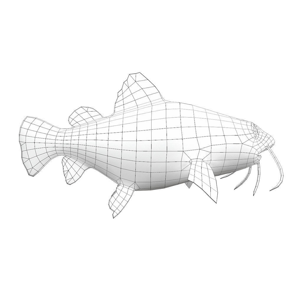 Red Tail Cat Fish Cartoon Animated Low-poly 3D model_5