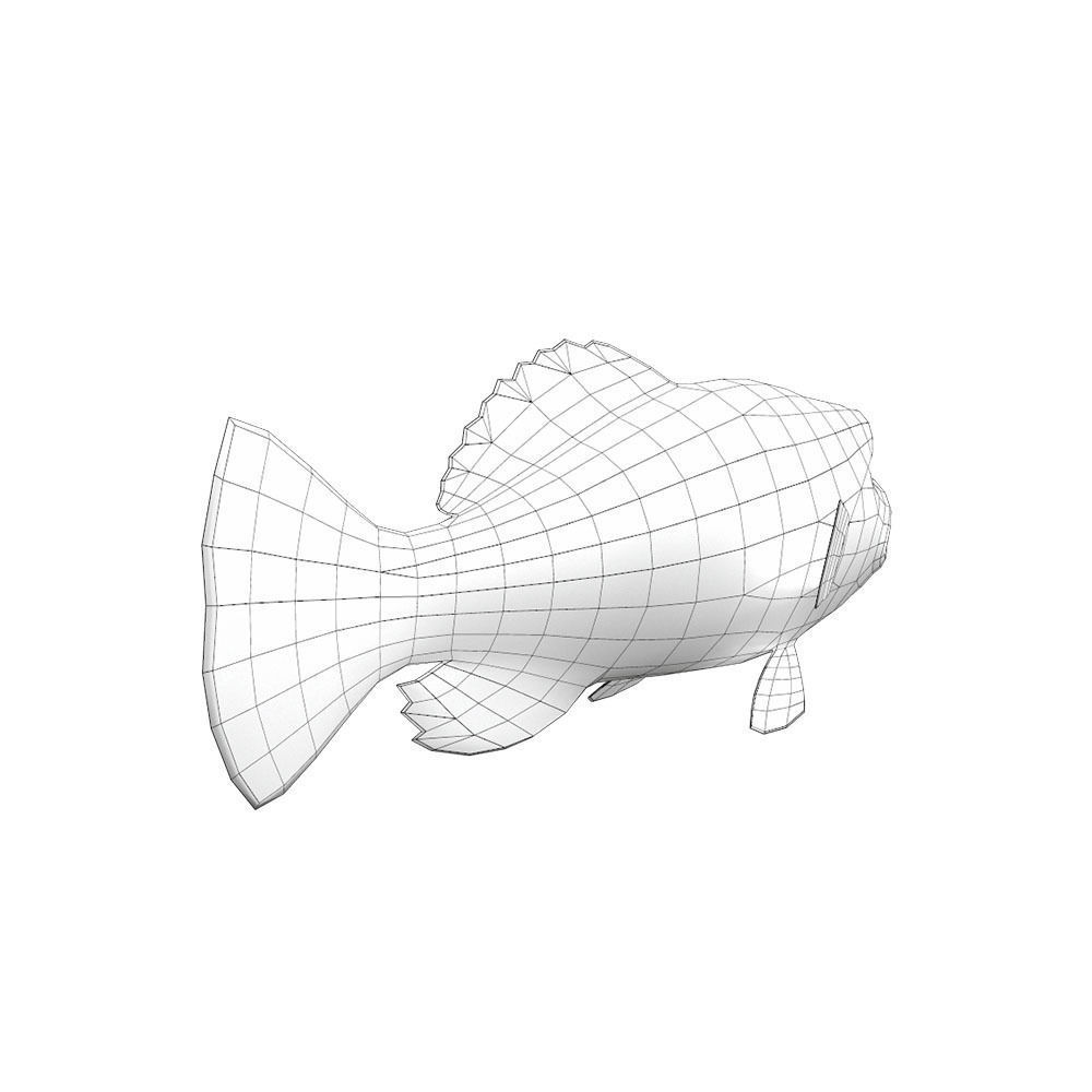 Peacock Bass Fish Cartoon Animated Low-poly 3D model_4