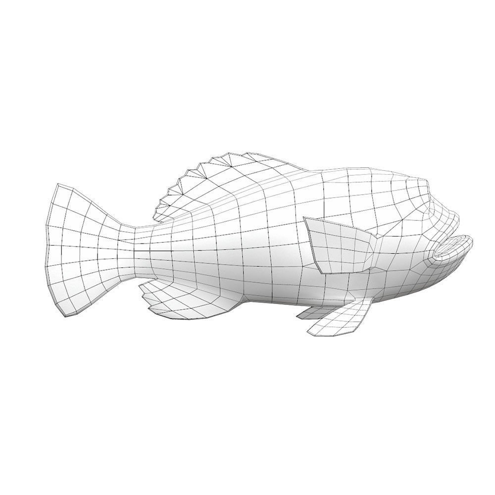 Peacock Bass Fish Cartoon Animated Low-poly 3D model_5