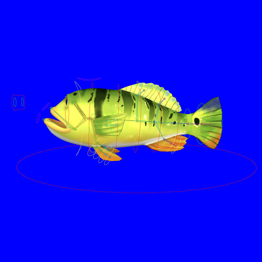 Peacock Bass Fish Cartoon Animated Low-poly 3D model_7