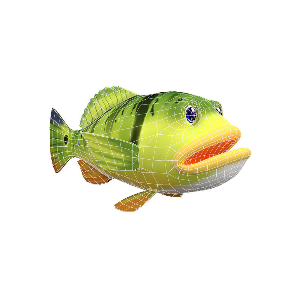 Peacock Bass Fish Cartoon Animated Low-poly 3D model_2