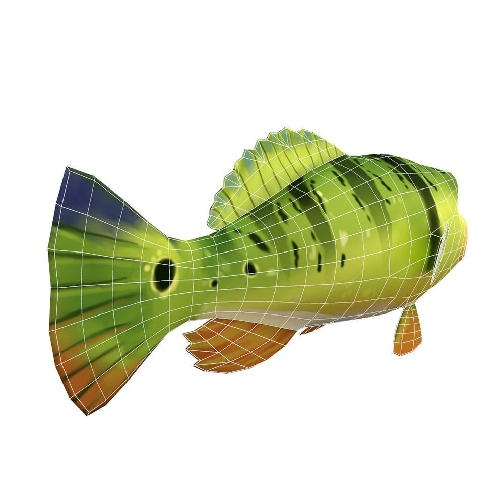 Peacock Bass Fish Cartoon Animated Low-poly 3D model_3