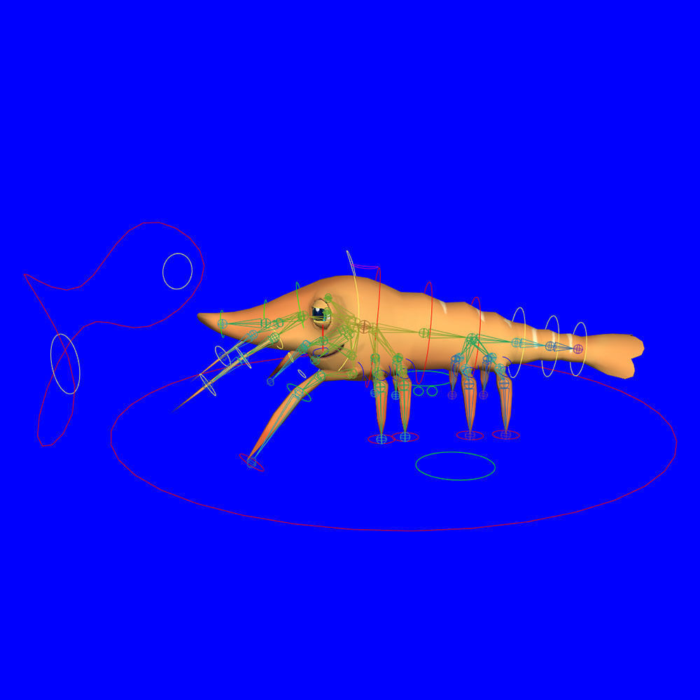 Giant Tiger Prawn Animated Cartoon Low-poly 3D model_8