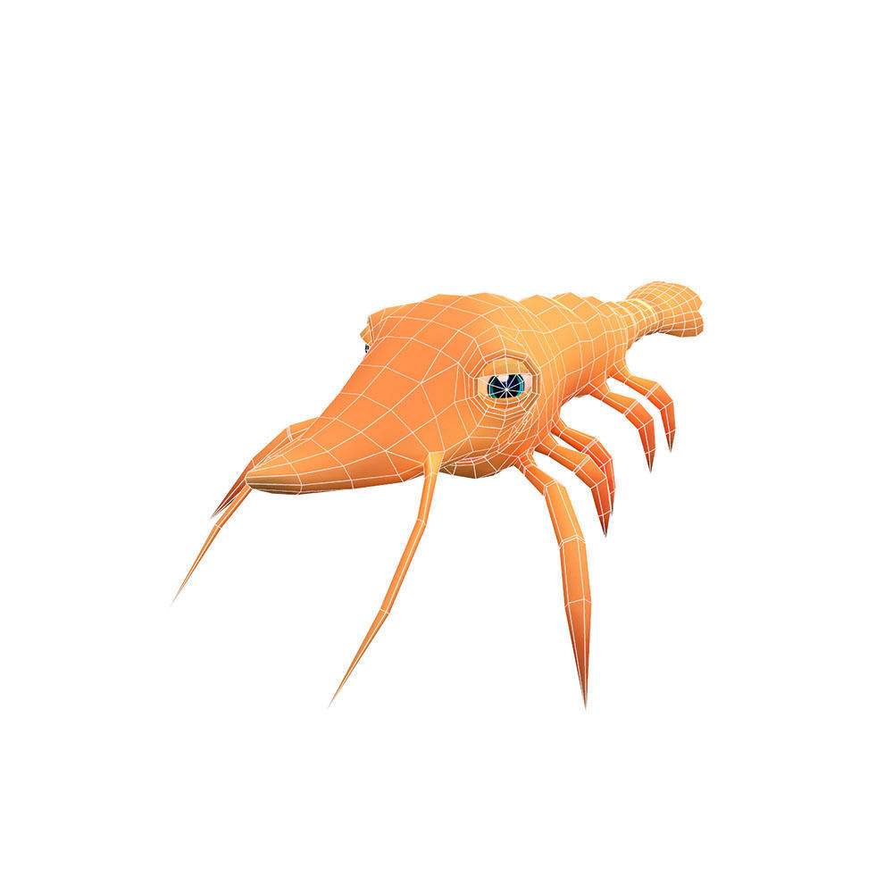 Giant Tiger Prawn Animated Cartoon Low-poly 3D model_1