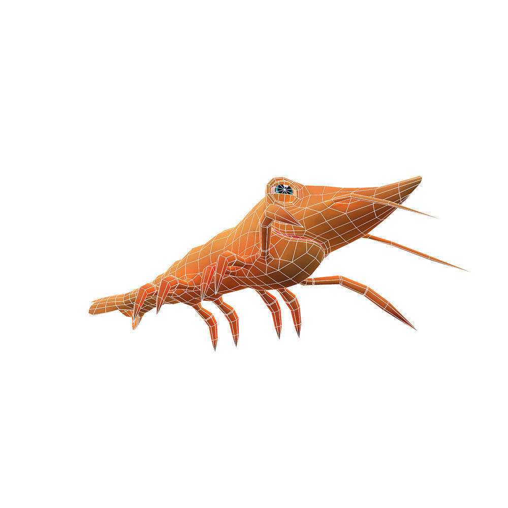Giant Tiger Prawn Animated Cartoon Low-poly 3D model_2