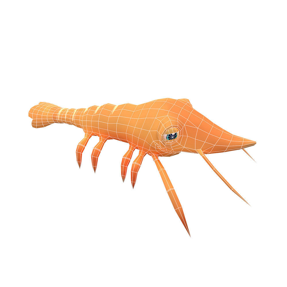 Giant Tiger Prawn Animated Cartoon Low-poly 3D model_3