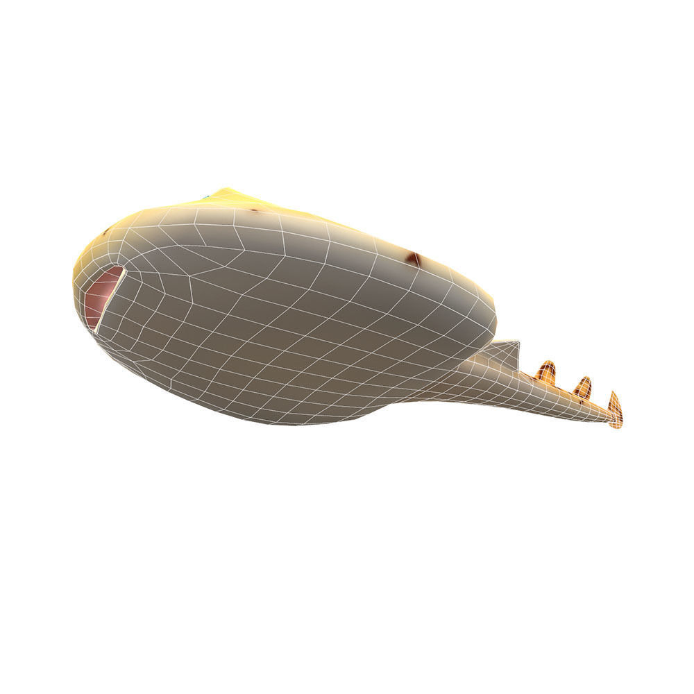 Nacrine Bancrofti Animated Fish  Low-poly 3D model_2