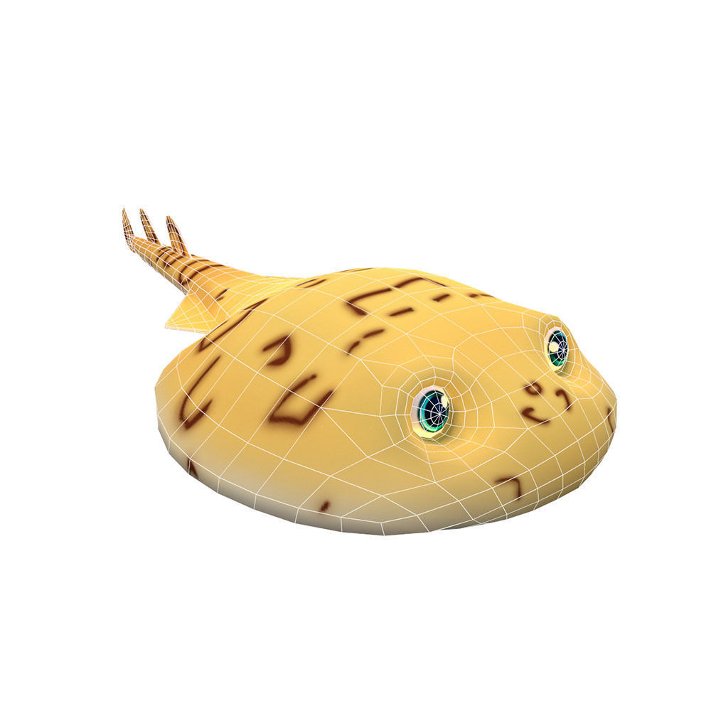 Nacrine Bancrofti Animated Fish  Low-poly 3D model_1