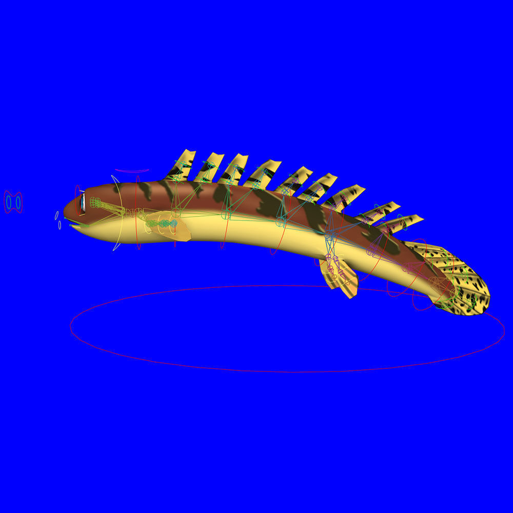 Barred Bichir Fish Cartoon Animated Low-poly 3D model_8