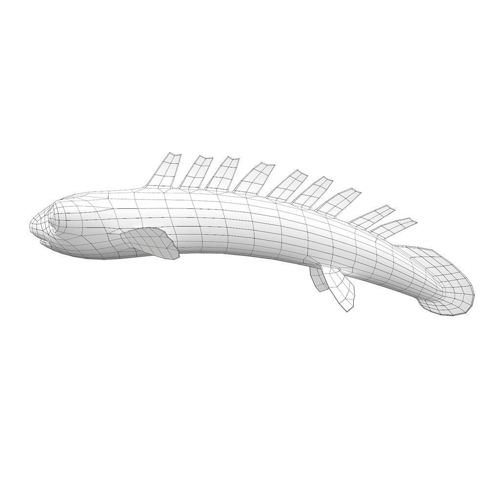 Barred Bichir Fish Cartoon Animated Low-poly 3D model_6