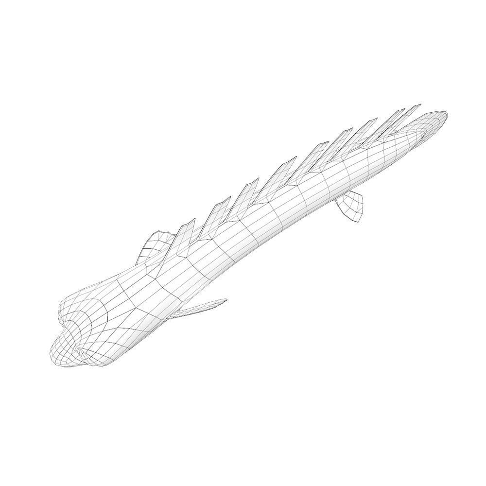 Barred Bichir Fish Cartoon Animated Low-poly 3D model_4