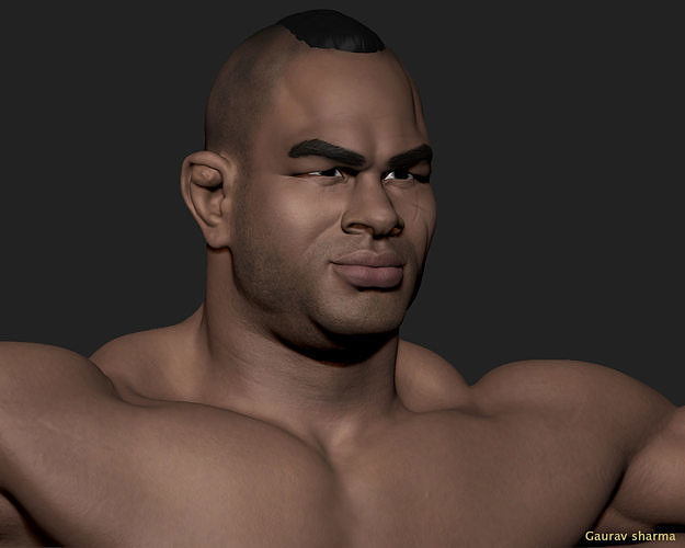 Alistair Overeem 3D print model