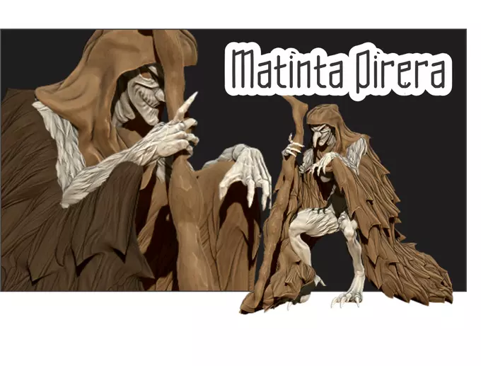 matinta pirera 3D print model