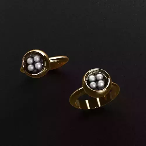 Rings gold and silver ring