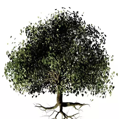 Low Poly Single Plane Trees