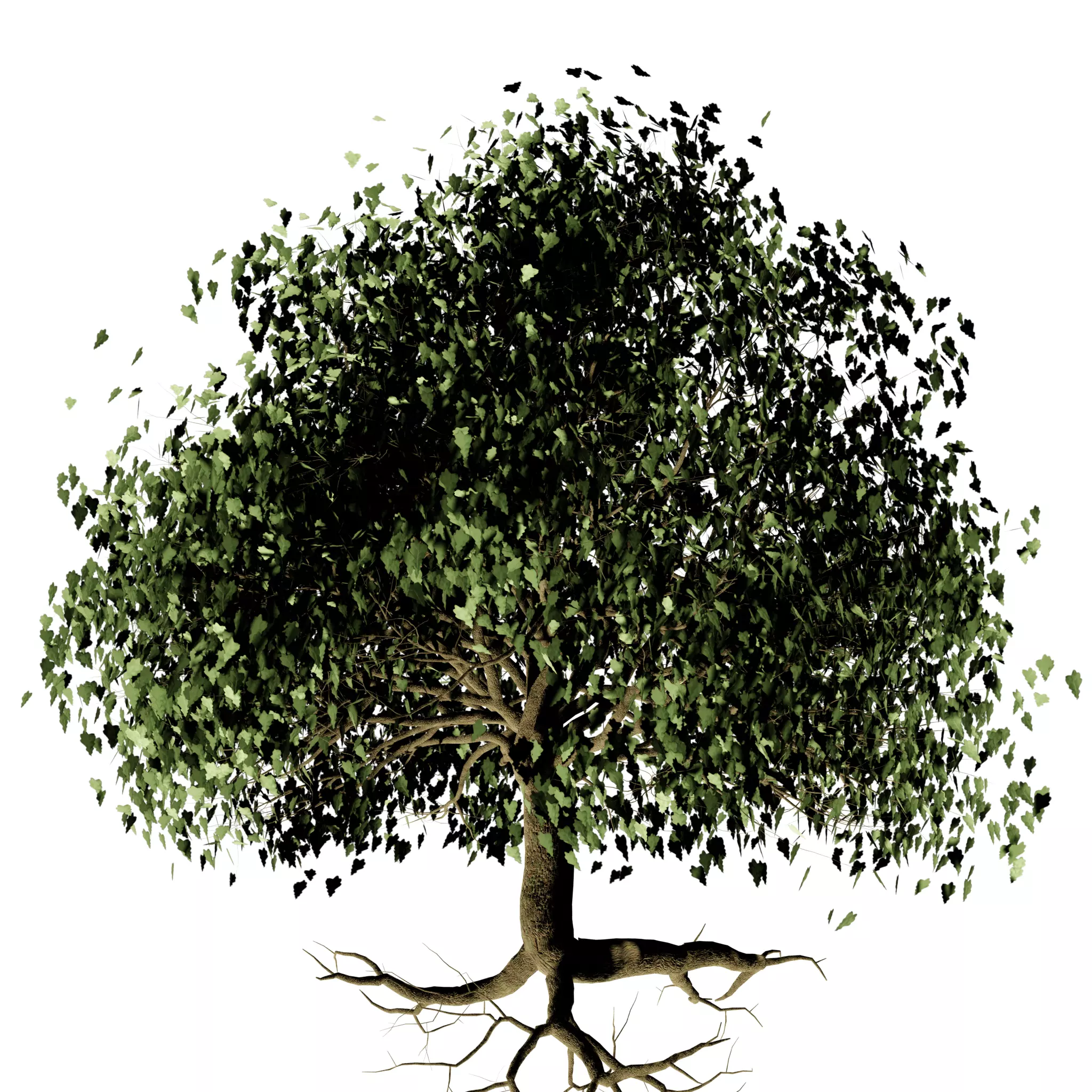 Low Poly Single Plane Trees Free low-poly 3D model