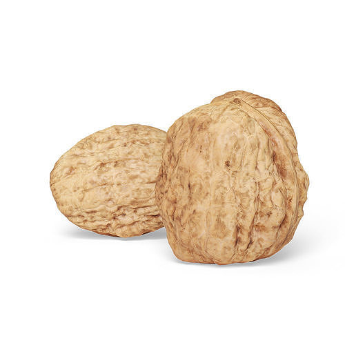 Walnut v1  3D model 3