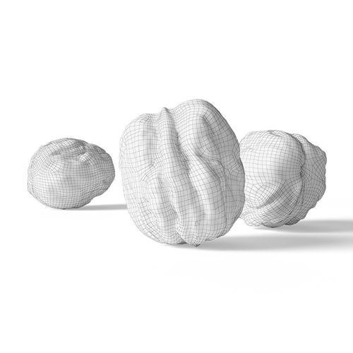 Walnut v1  3D model 7