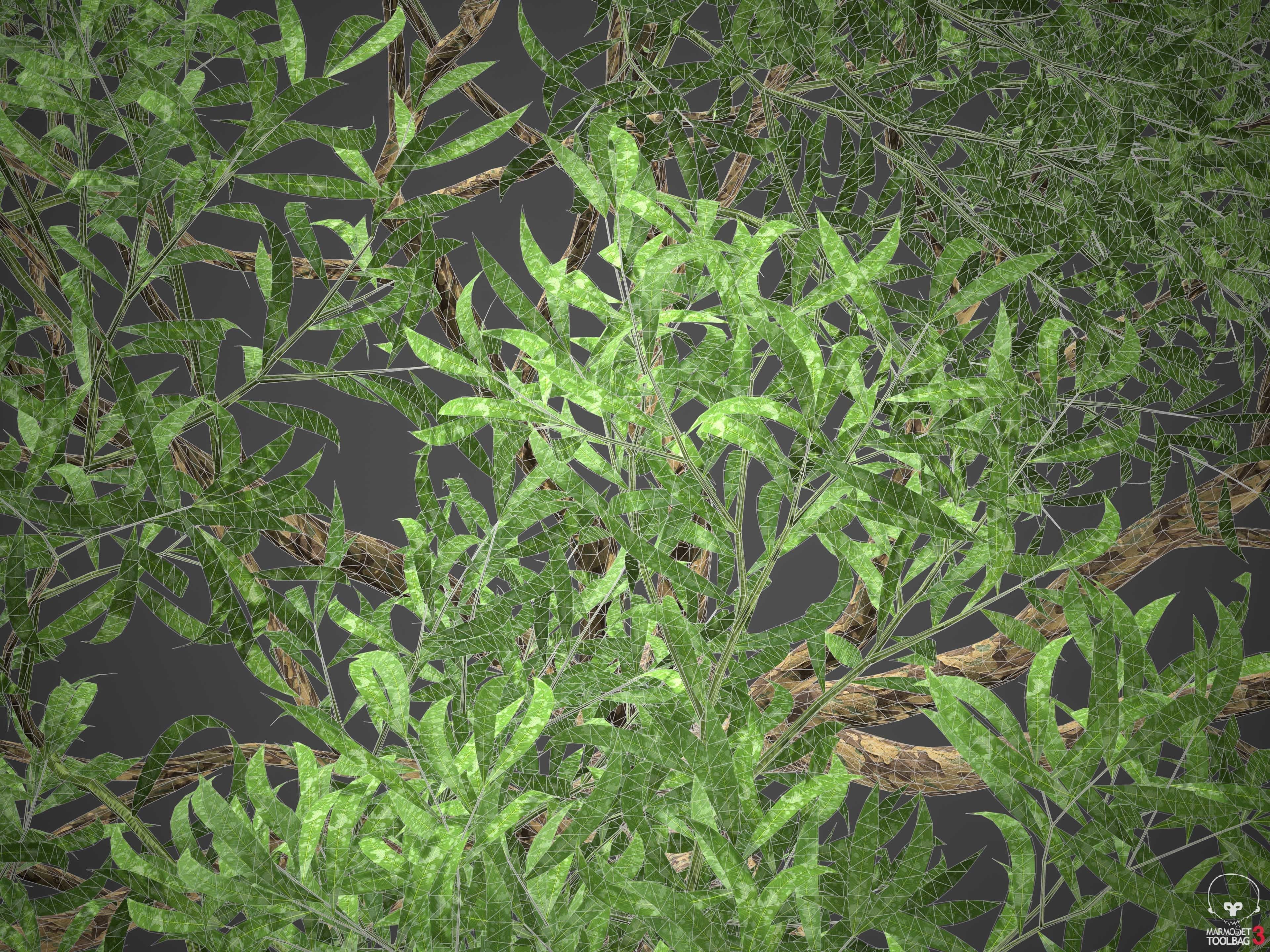 XfrogPlants Southern Blue Gum - Eucalyptus Globulus  3D model_17