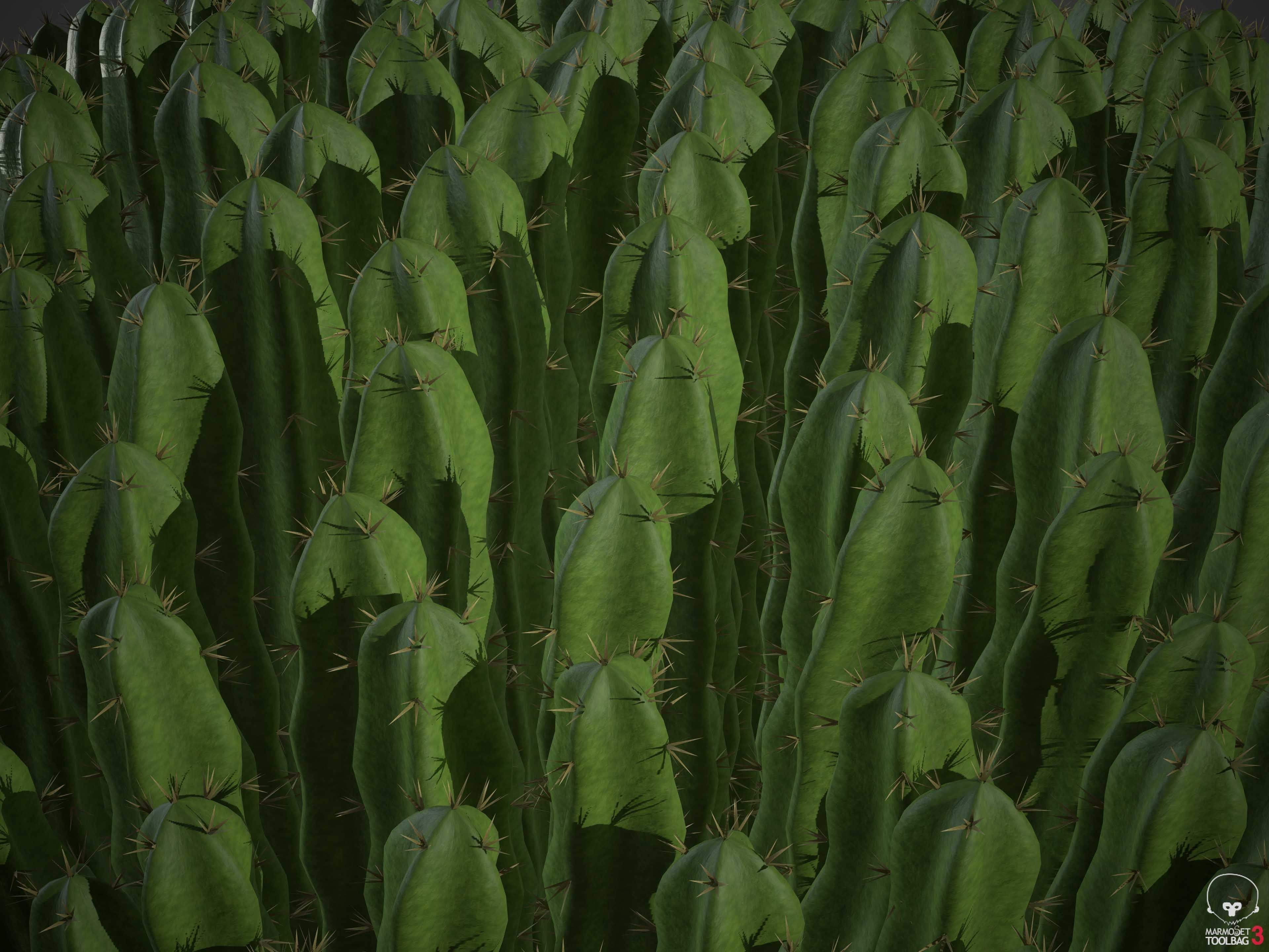 XfrogPlants Resin Spurge - Euphoriba Resinifera  3D model_3