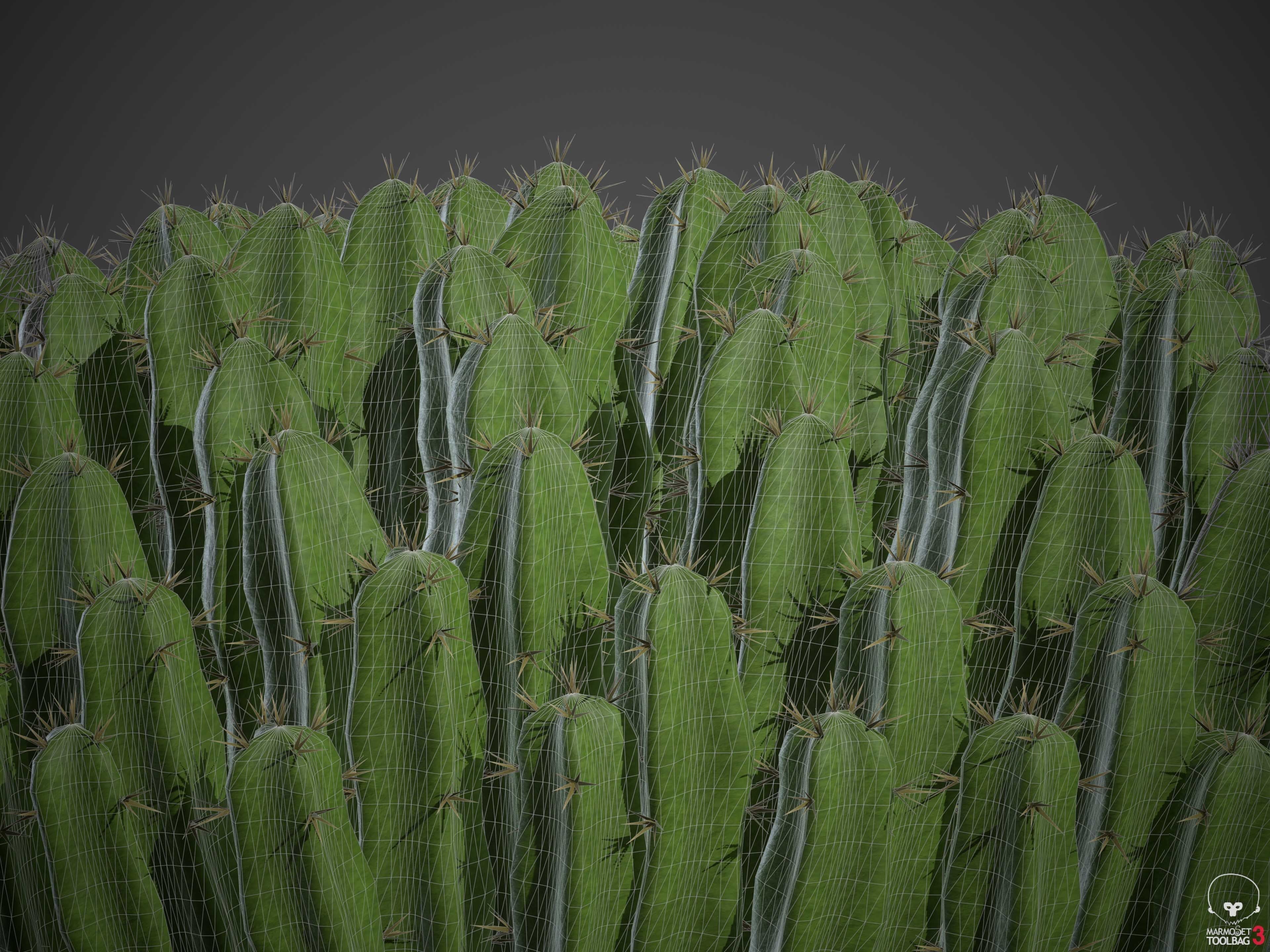 XfrogPlants Resin Spurge - Euphoriba Resinifera  3D model_5