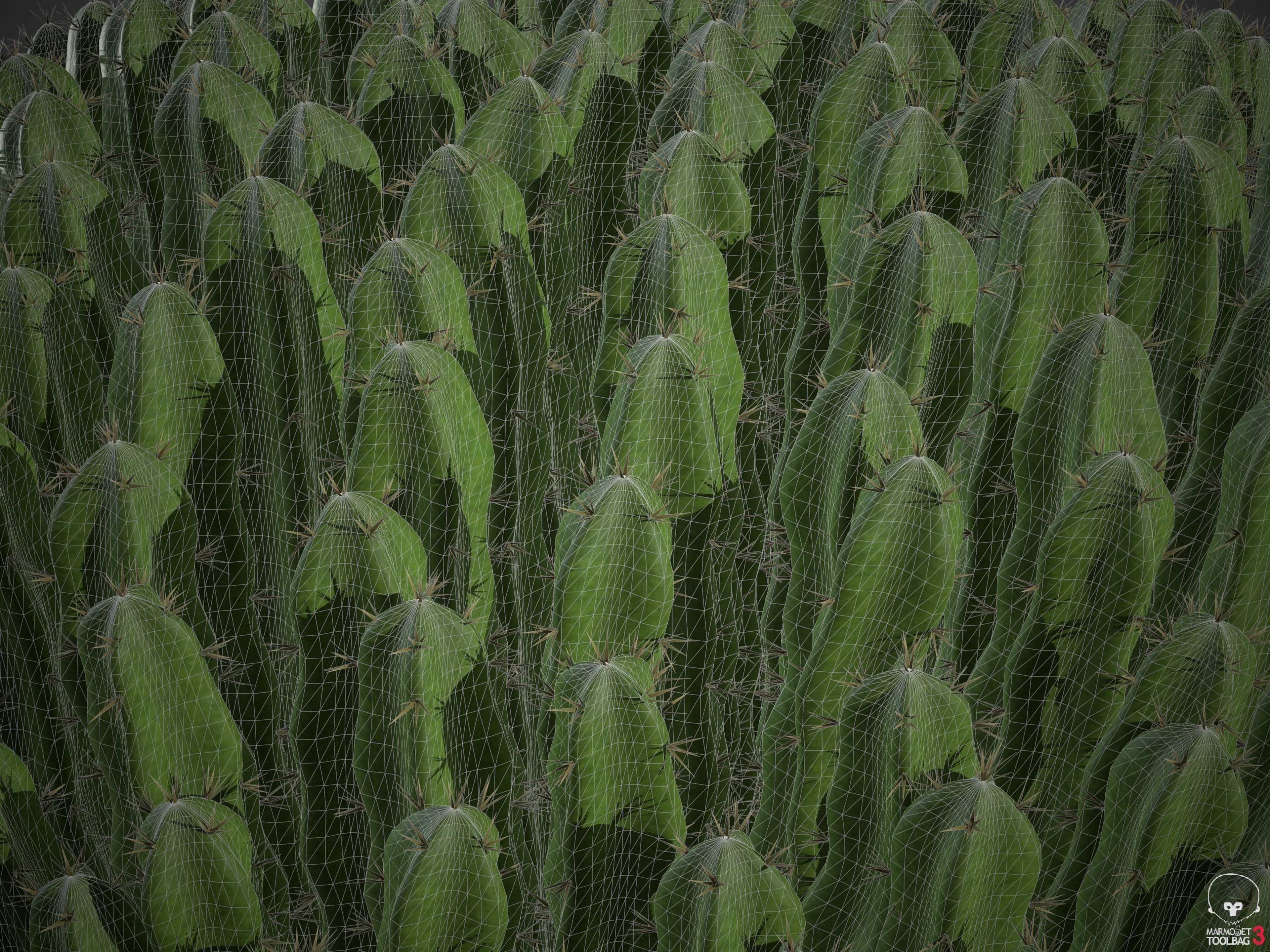 XfrogPlants Resin Spurge - Euphoriba Resinifera  3D model_6