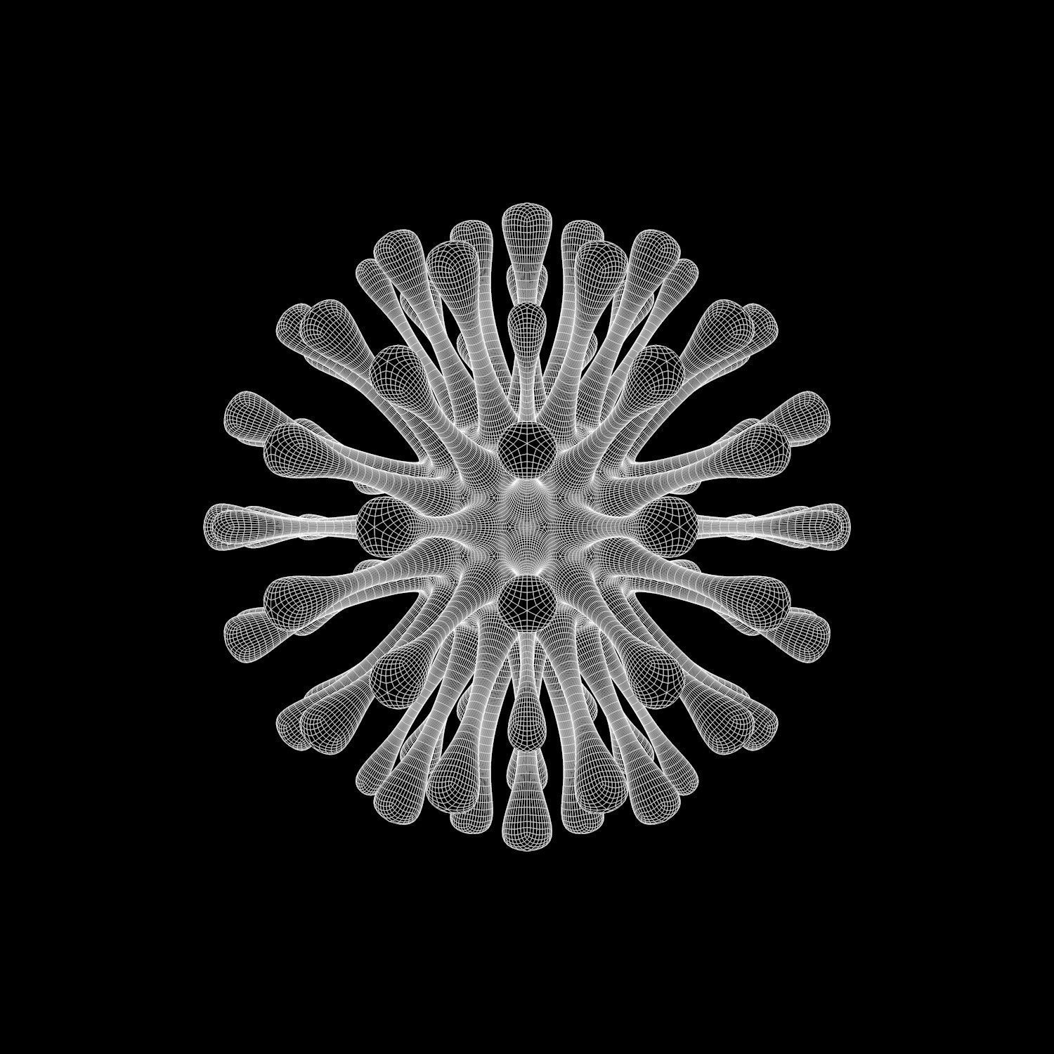Virus Covid 19 3D model_2
