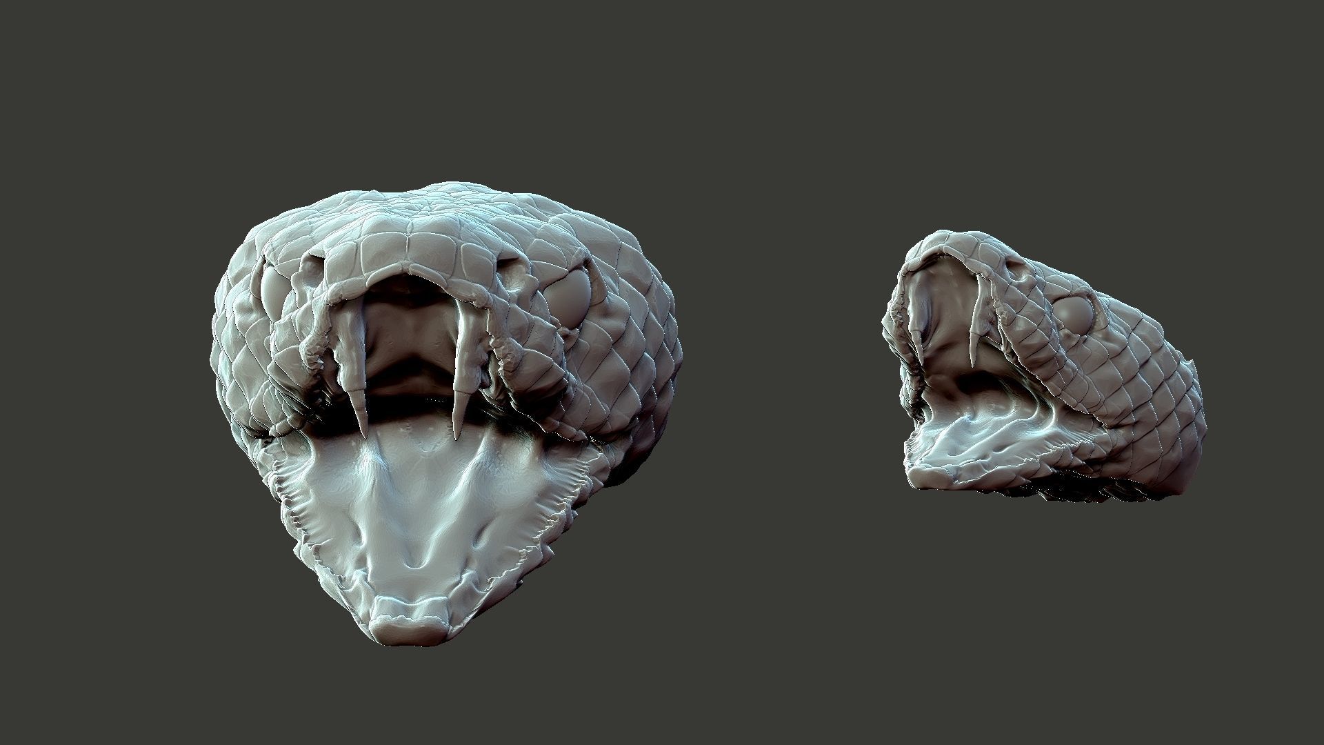 snake head 3D print model_2