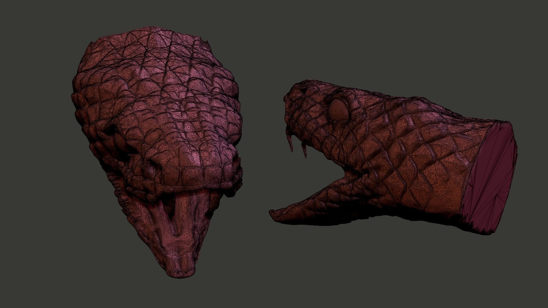 snake head 3D print model_5