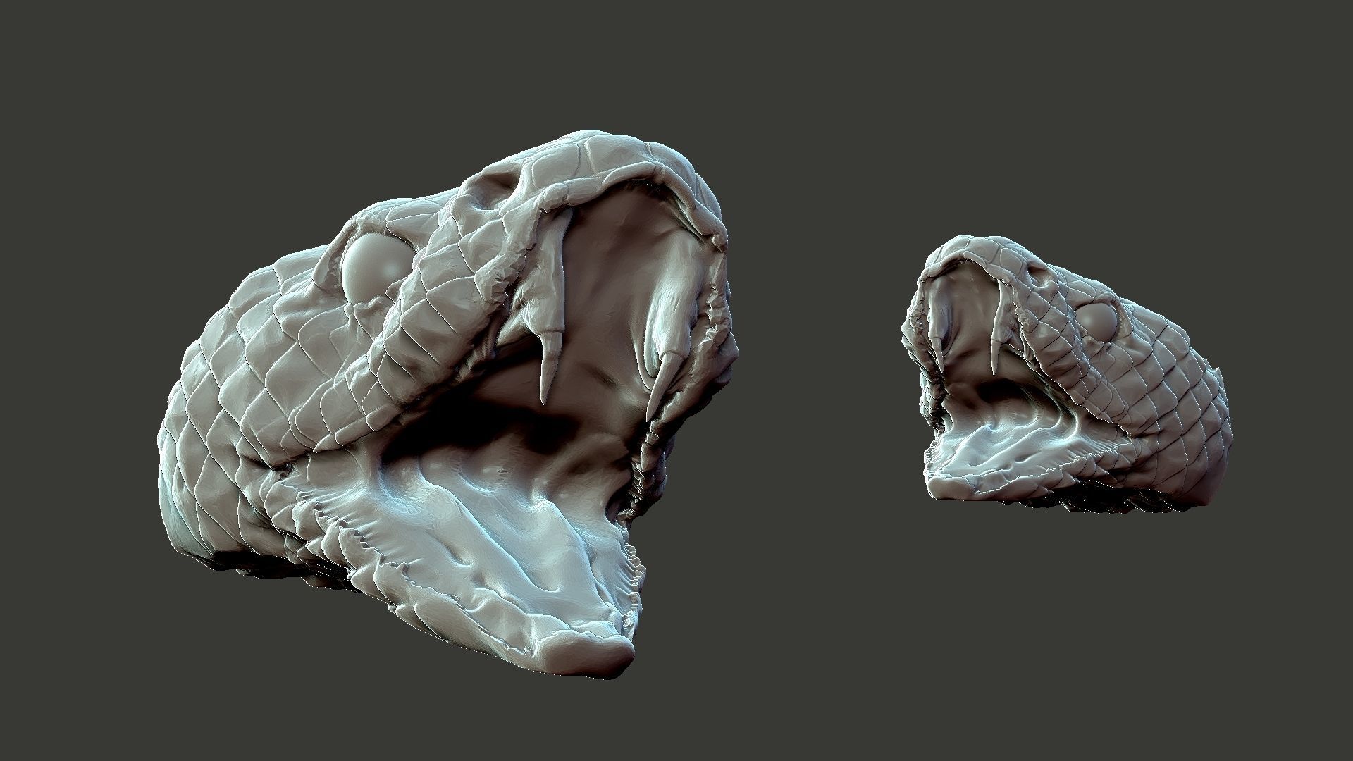snake head 3D print model_3