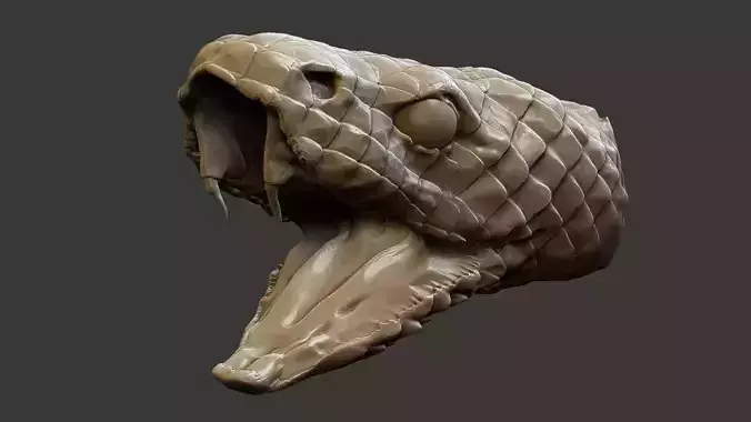 snake head