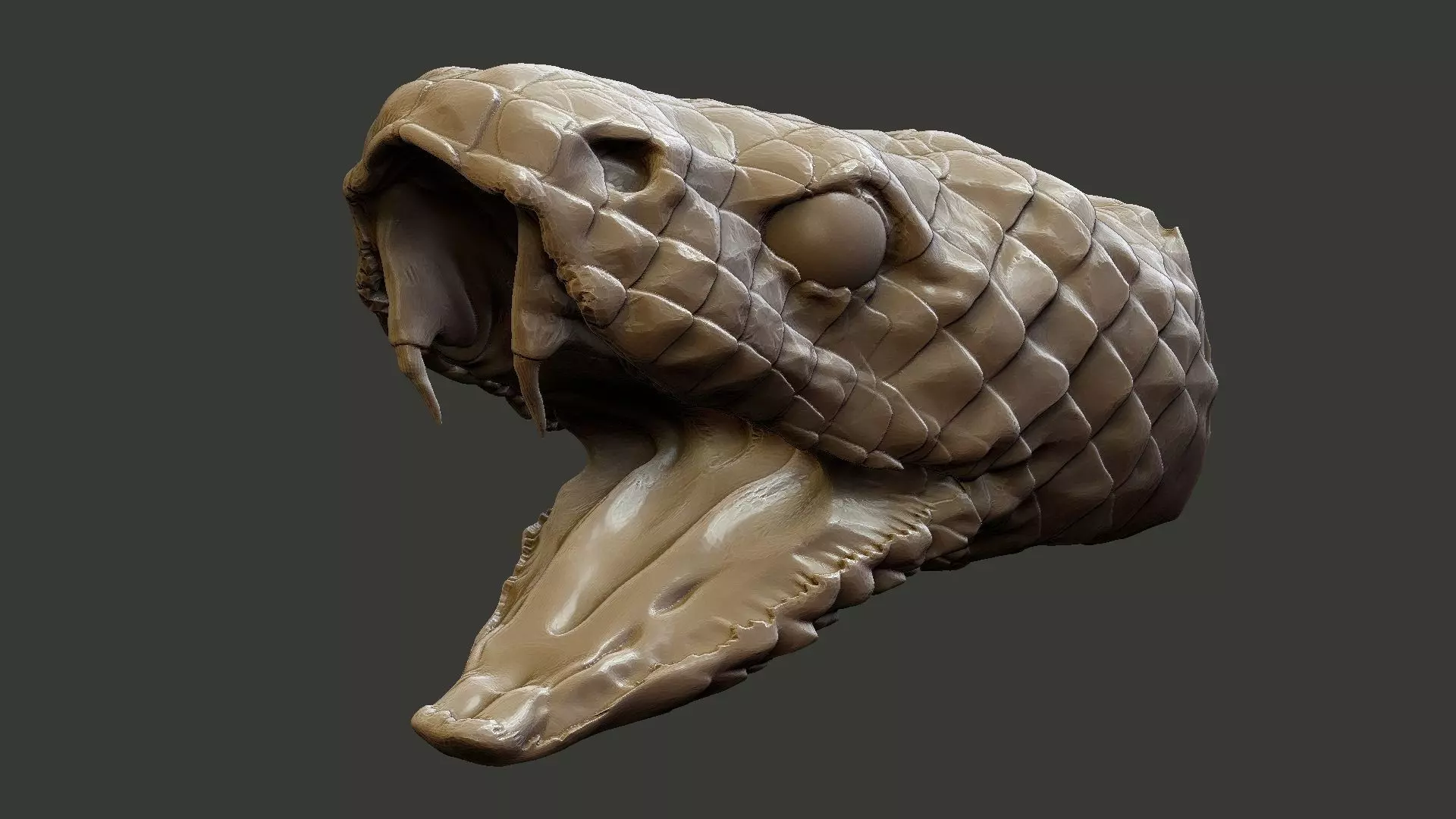 snake head 3D print model_0