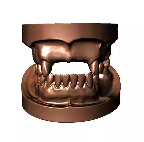 Dental Model rpd cast upper lower
