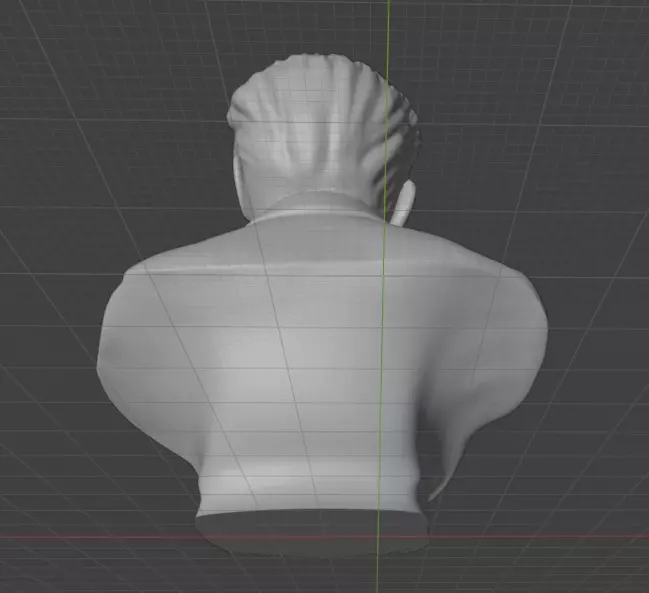 Erwin Schrodinger 3D print model_7