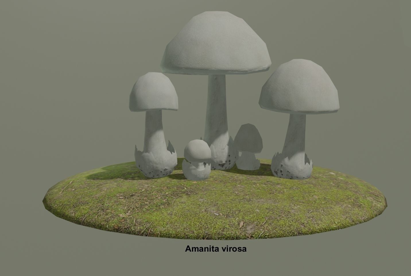 Amanita pack 2 Low-poly 3D model_1