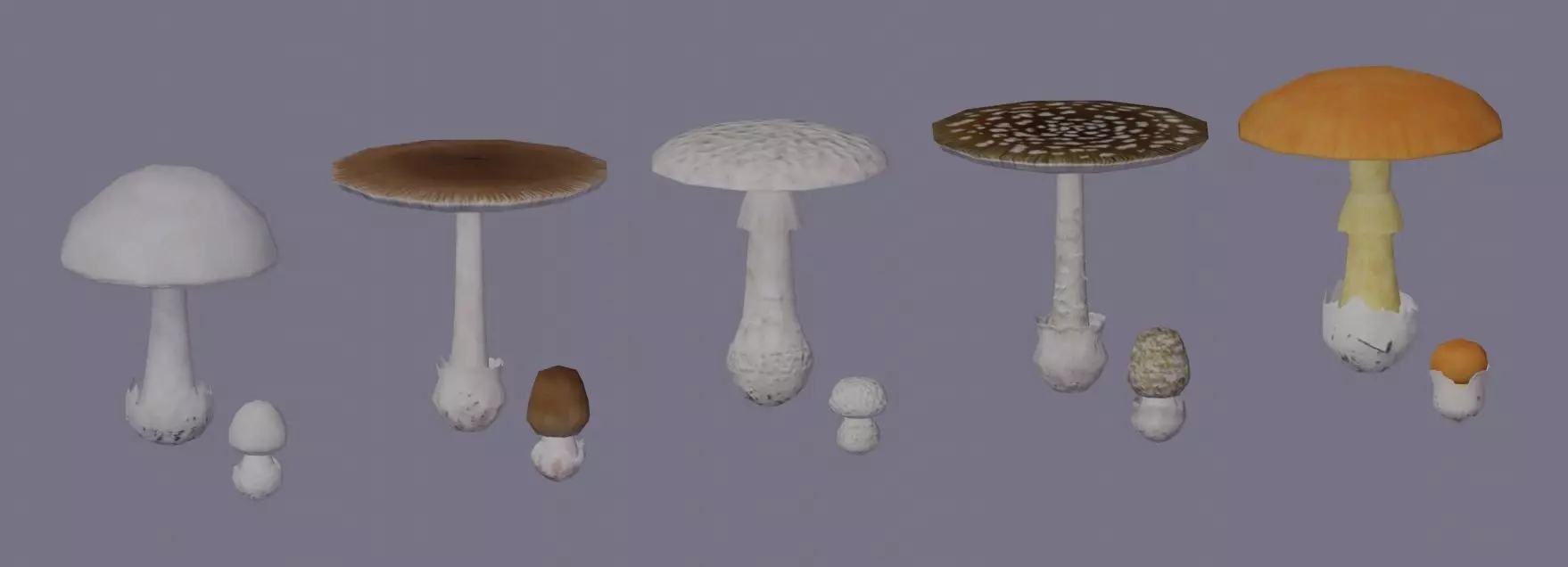 Amanita pack 2 Low-poly 3D model_0