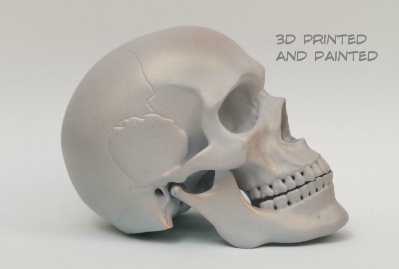Skull articulated 3D print model_2