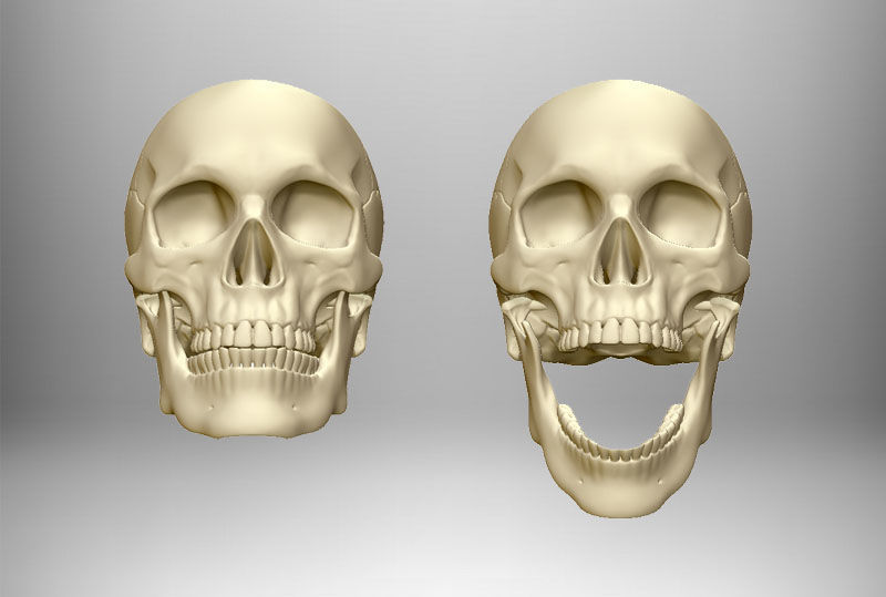 Skull articulated 3D print model_4