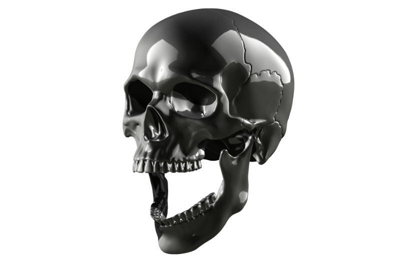 Skull articulated 3D print model_0