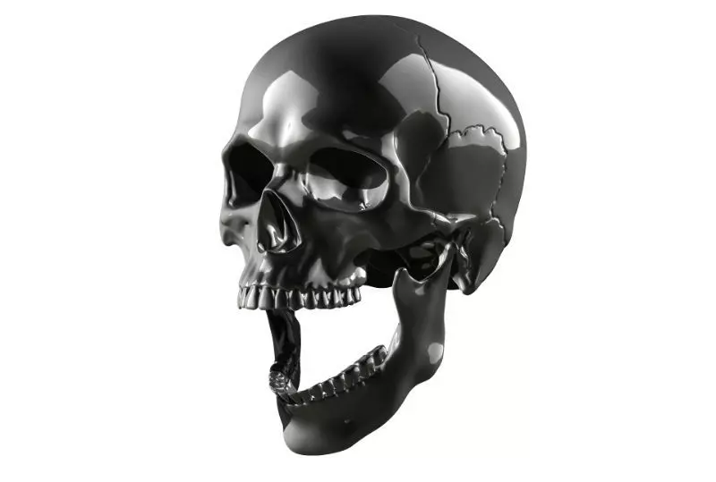 Skull articulated 3D print model_0