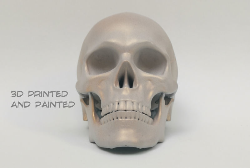 Skull articulated 3D print model_1