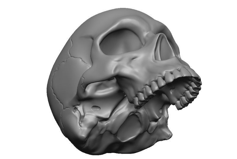 Skull articulated 3D print model_13