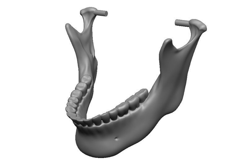 Skull articulated 3D print model_12