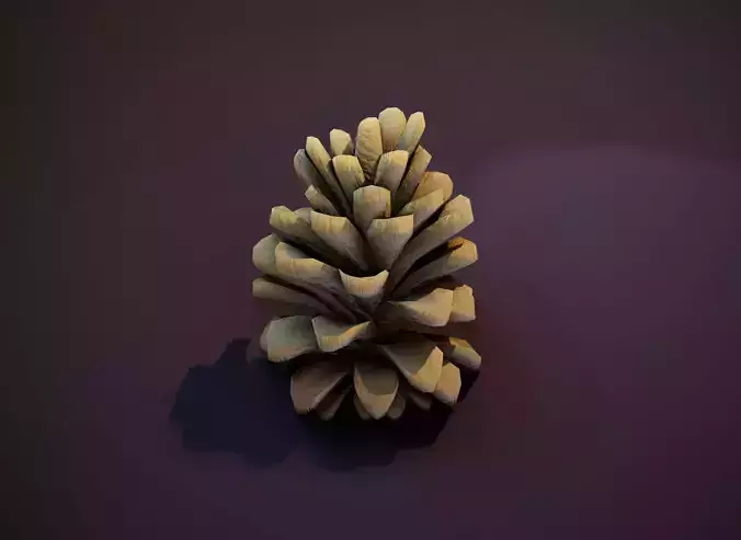 Cartoon Pine Cone 3D Model Low-poly 3D model