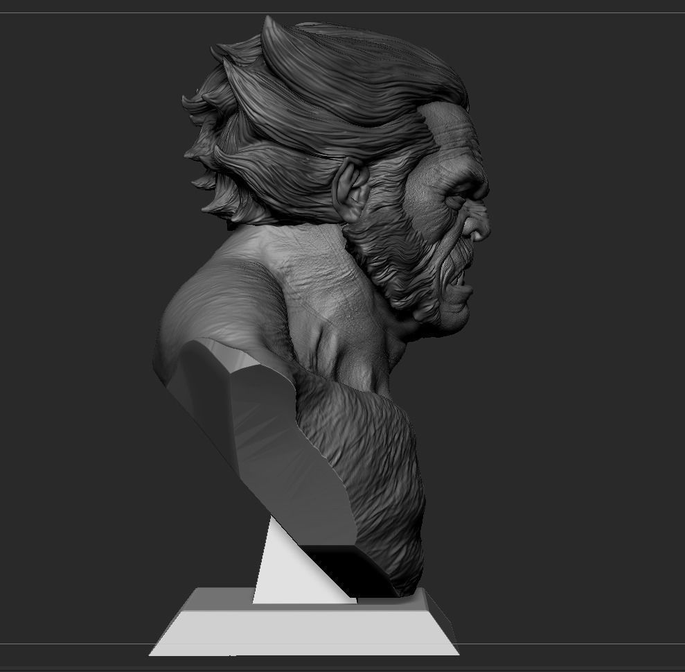 Beast Bust- XMEN 3D print model_12