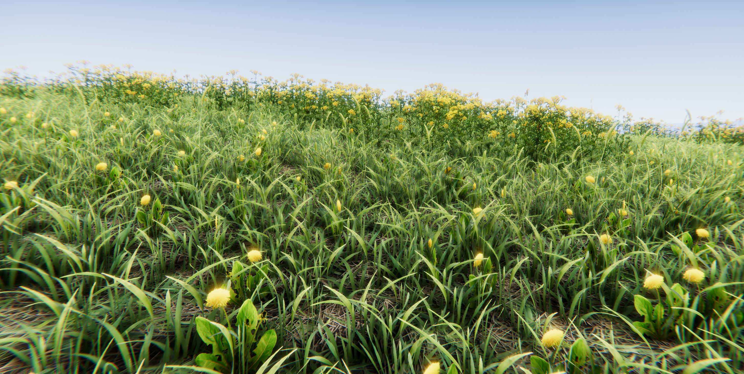 Realistic Grass Flowers Pack Texture_16